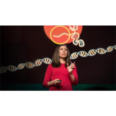 What you need to know about CRISPR | Ellen Jorgensen icon