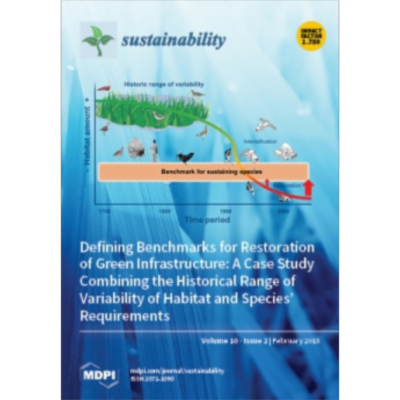 Measuring and Explaining Airport Efficiency and Sustainability: Evidence from Italy icon
