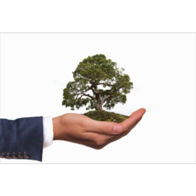 How Businesses Can Be Environmentally Friendly and Still Make a Profit icon