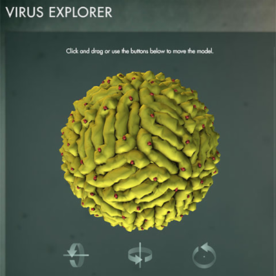 Virus Explorer | HHMI BioInteractive icon