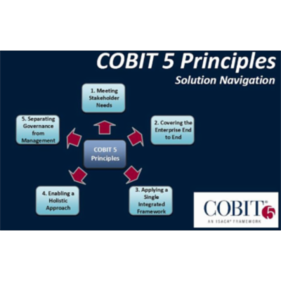 Risk Management and COBIT 5 icon