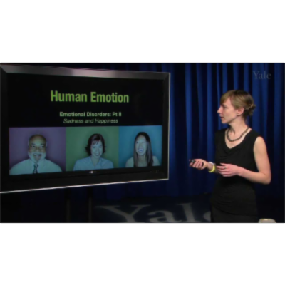 Emotional Disorders II (Depression and Mania) icon