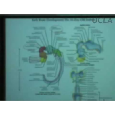 Behavioral Neuroscience Lab: Psychology 116, UCLA icon