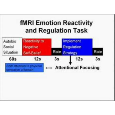 Cognitive Neuroscience of Mindfulness Meditation icon