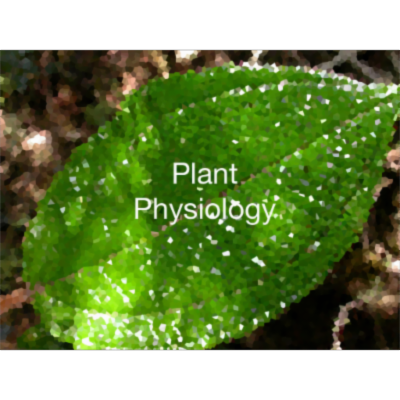 Plant Physiology Animations