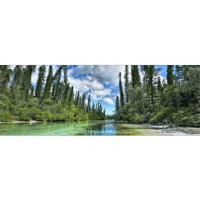 Why do We Have To Protect the Environment?