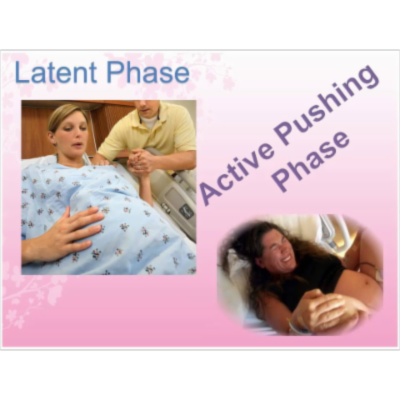 Intrapartum Lesson 4 Assessment in the First, Second, Third, and Fourth Stage of Labor