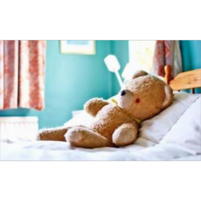 Stuffed Animals in the Operating Room: A Reservoir of Bacteria With a Simple Solution icon