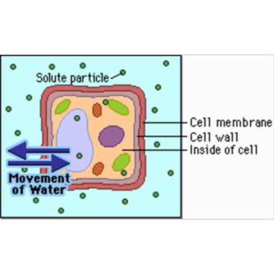 Pearson - The Biology Place icon