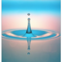 Diffusion of Toxic Materials in a Landfill icon