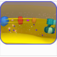 Electron Transport Chain Tutorial and Animation icon