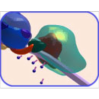 Transcription--Tutorial and Animation icon