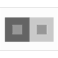 Lightness Perception and Lightness Illusions icon