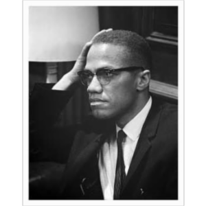 ESL CIVICS: MalcolmX.Org Website