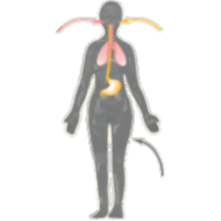 The Biology Project - Toxicology icon
