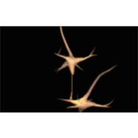 Communication Between Nerve Cells icon