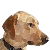 50 Web 2.0 Ways to Tell a Story icon