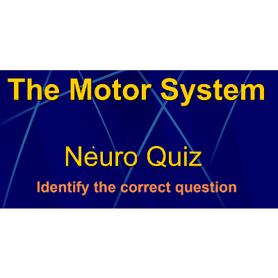 The Motor System: Quiz Game icon