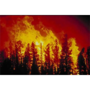 CSUB-NASA 2008: U.S. Wildfires and Fire Safety with Smokey the Bear icon
