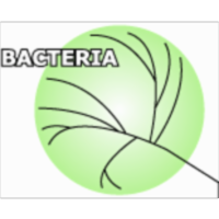 History of life through time icon