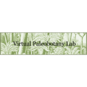 Virtual Paleobotany Lab icon