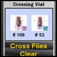 Classical Genetics Simulator icon