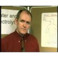 Electrolytes II icon