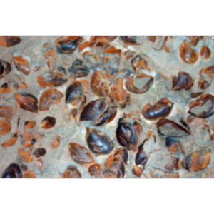 Fundamentals of Physical Geography 2.0 icon