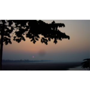 Ecosystems Module - ELL