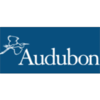 Christmas Bird Count icon