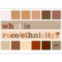 What is Race/Ethnicity?