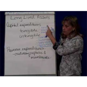 Long-LIved Assets icon