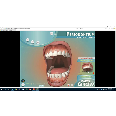 Parts of Gingiva Anatomic Parts icon
