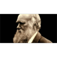 Wellcome Trust's Tree of Life icon