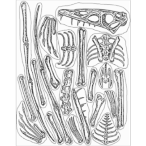 The great fossil find icon