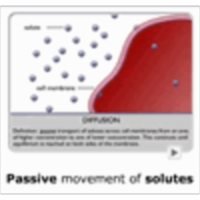 Movement of Fluid in the Cellular Compartments icon