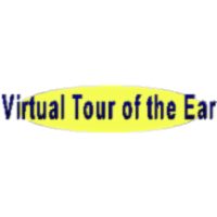 Virtual Tour of the Ear