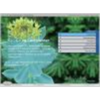 C3, C4 and CAM plants