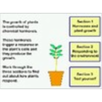Auxin as a Plant Hormone