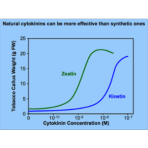 Activity Sheet for Plant Growth Regulation icon