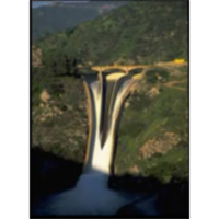 Activity Sheet for Plant Water Relations icon