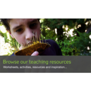 Plants for Primary Pupils