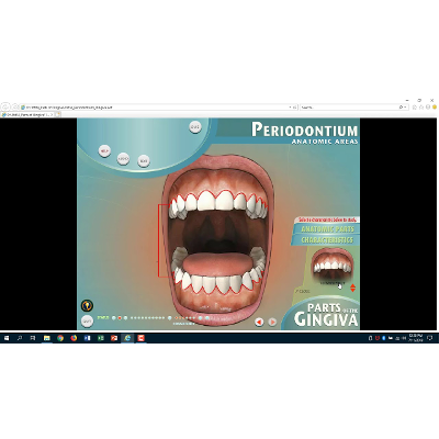 Parts of the Gingiva Characteristics icon