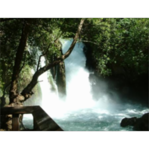 free nature pictures icon