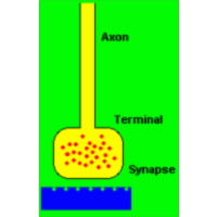 Neurotransmitters icon