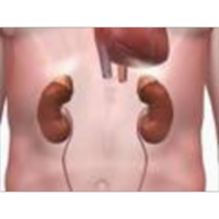 Effects of High Blood Pressure on your Body icon