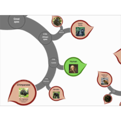 OneZoom Tree of Life Explorer icon