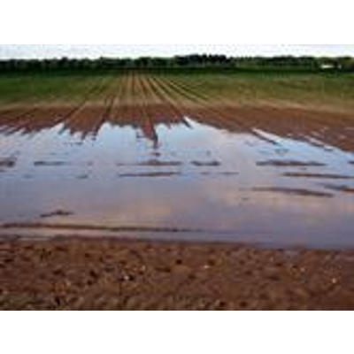 Abiotic stresses in agroecology: a challenge for whole plant physiology icon