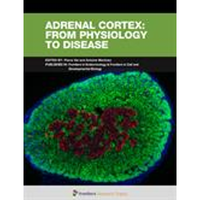 Adrenal cortex: from physiology to disease icon