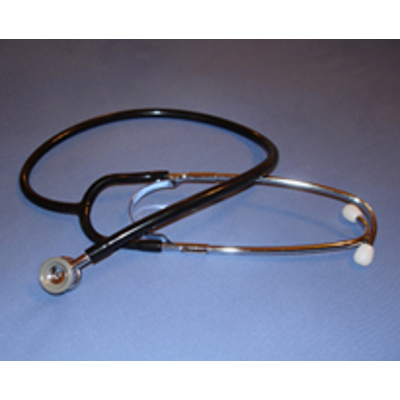 Medical Spanish - Phrases, Terms, Dialogues, Anatomy, all online